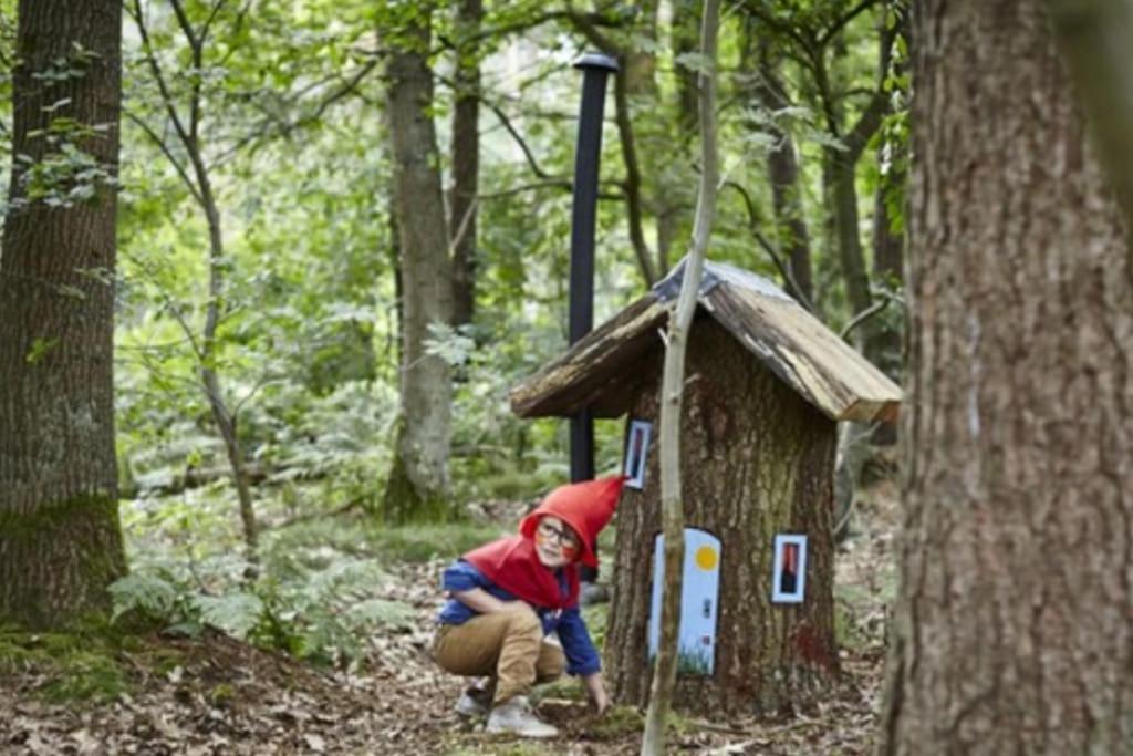 Chalet Te Huur Op *****Camping Terspegelt 4 Personen Eersel Exterior foto